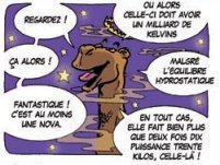 page09-image8-Lapinbleu-Nuit blanche a Bethleem