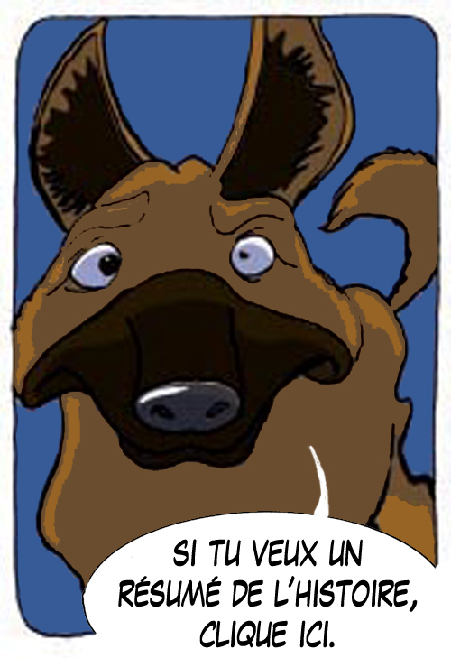 résumé de l histoire NBB