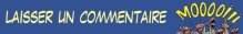Bandeau laisser un commentaire