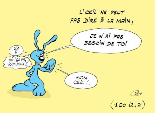 Lapinbleu503C-1Co12 21