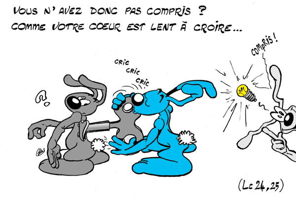 AP3Lapinbleu319C-Lc24_25.jpg