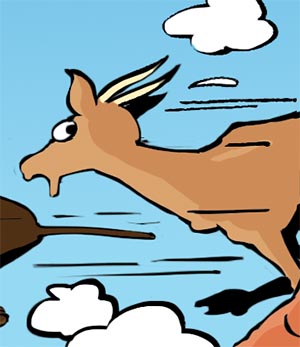 Animal-Antilope1