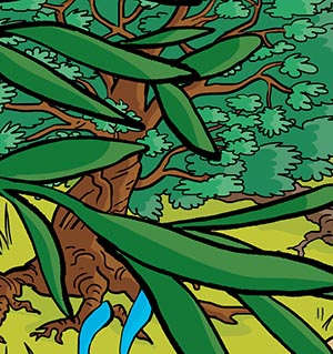 Arbre-Plivier