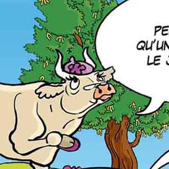 Arbre-caroubier