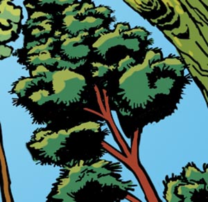 Arbre-peuplier