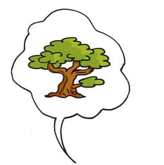 Arbre-sycomore
