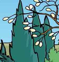 Arbres-Cyprès