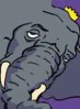 Blog-accueil-éléphant
