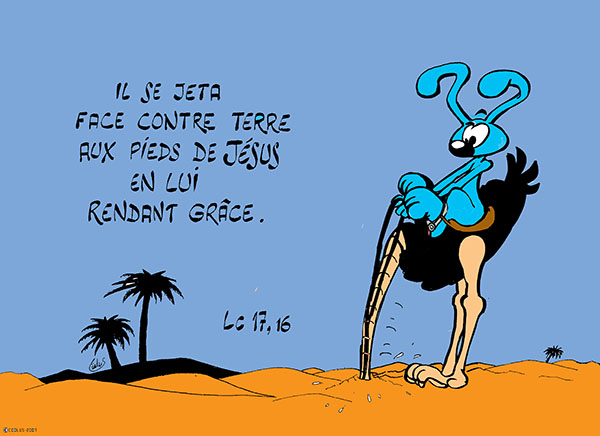 cto28lapinbleu336cb-lc17_16