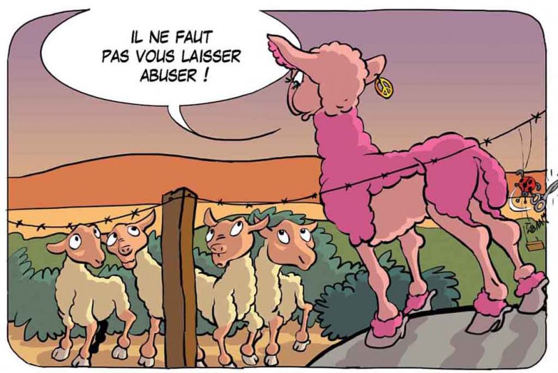 GAT08-01-Lapinbleu