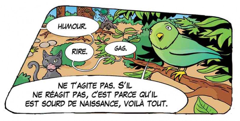 GAT16-08-Lapinbleu