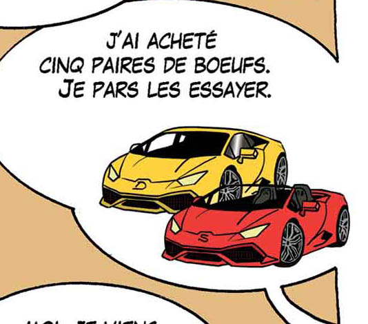 GAT26 1 boeufs