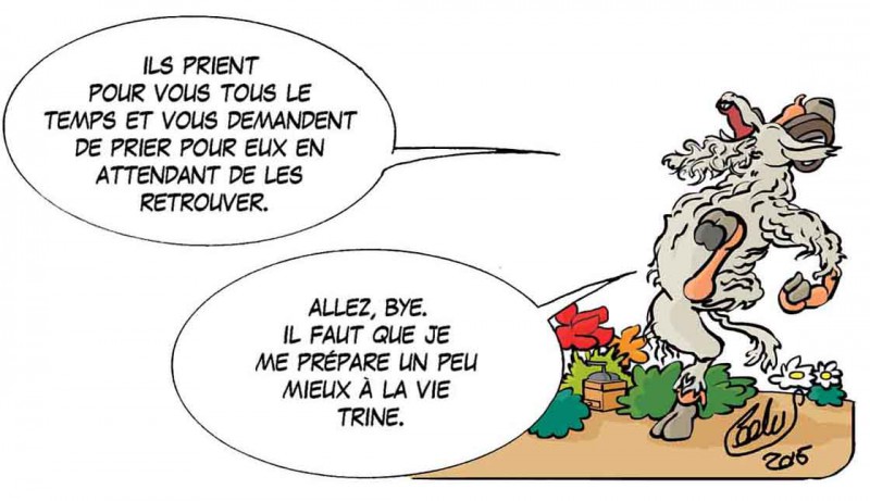 GAT36-10-Lapinbleu