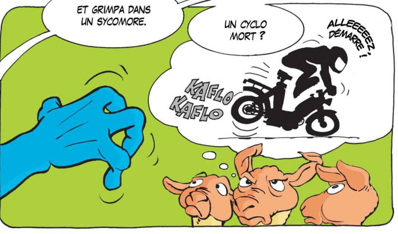 GAT40-02-Lapinbleu