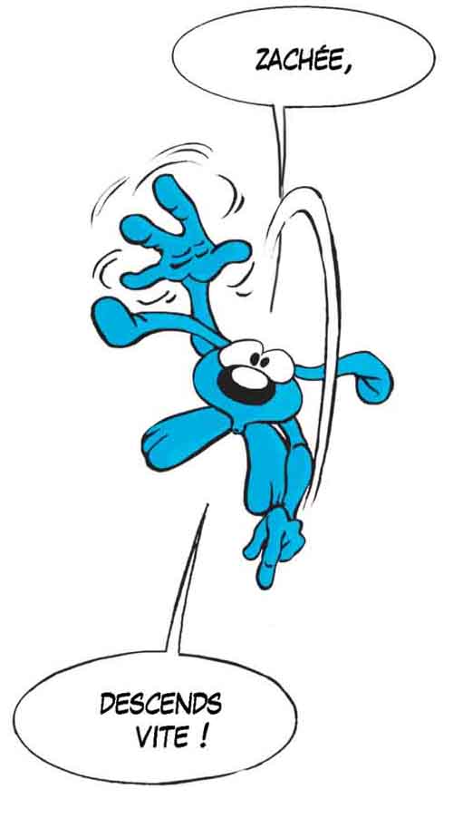 GAT40-08-Lapinbleu