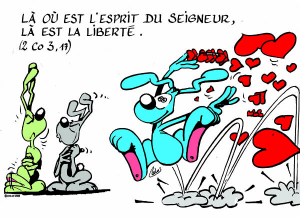 Lapinbleu106C-2Co3 17