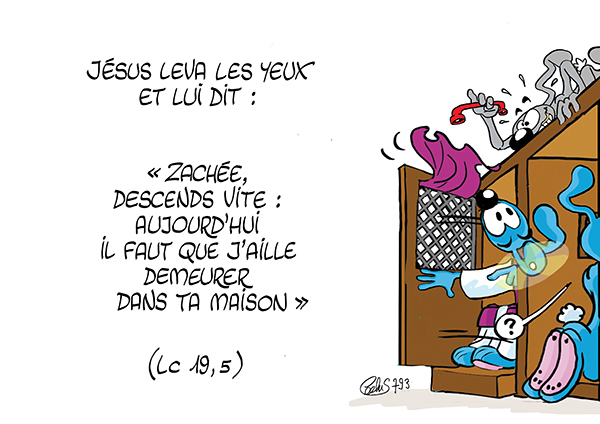 lapinbleu793c-lc19_5
