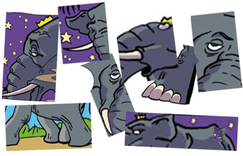 NBB-Elephants_tete.jpg