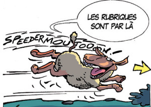 -NBB-accueil2.jpg