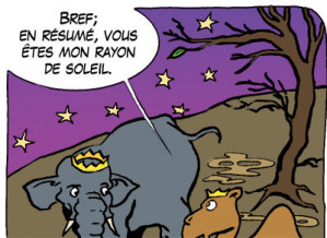 NBB couleurs3