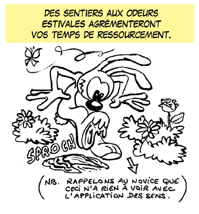 Rodez S