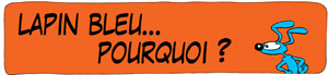 blog-bandeau-8LBpourquoi