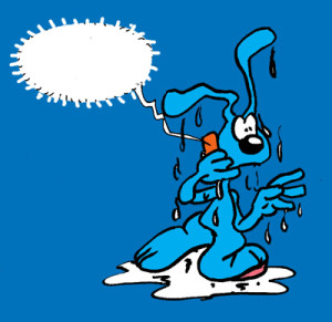 careme2013_Coolus_1Dim.jpg