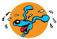 -image2.jpg