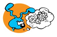 -image3
