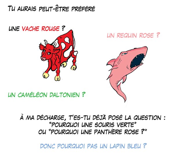 2013-Blog-lapin-bleu-pourquoi.jpg