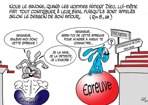 ATO17Lapinbleu825C-Rm8_28 - Copie