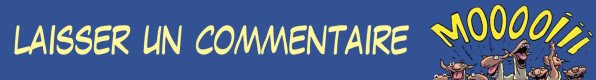 Bandeau laisser un commentaire
