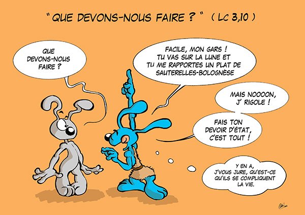 CA3Lapinbleu777C-Lc3_10