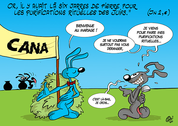 CTO02Lapinbleu781C-Jn2_6