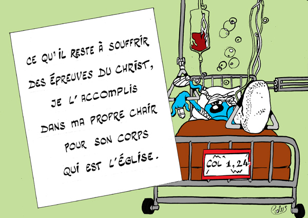 CTO16-Lapinbleu331C-Col1 24