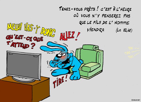 CTO19-Lapinbleu309C-Lc12 40