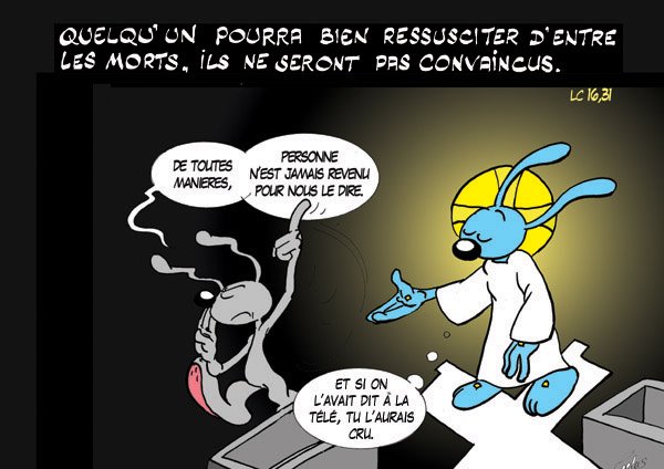 CTO26Lapinbleu550C-Lc16_31.jpg
