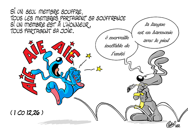 CTO3Lapinbleu782C-1Co2_16