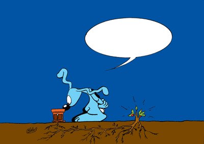 Lapinbleu-Avent2012-Dim1