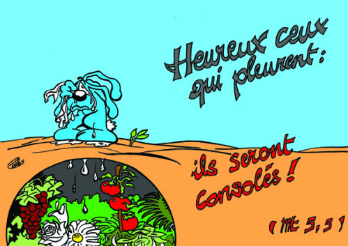 Lapinbleu554C-Mt5 5-copie-1