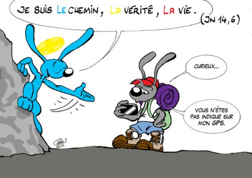 Lapinbleu634C-Jn14 6