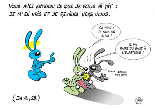 Lapinbleu646C-Jn14 28