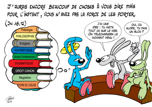 Lapinbleu659C-Jn16 12