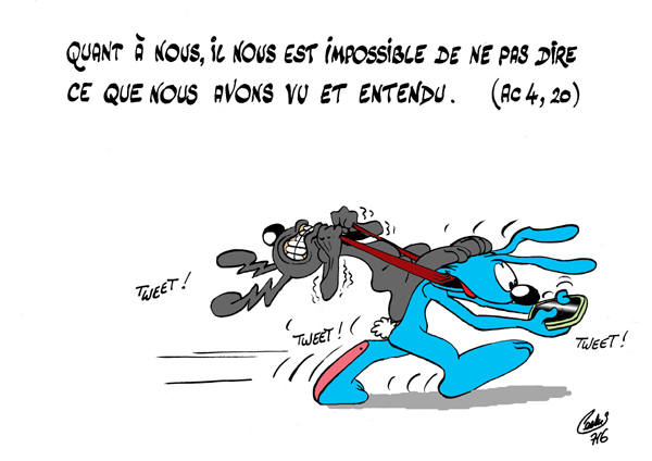 Lapinbleu716C-Ac4 20