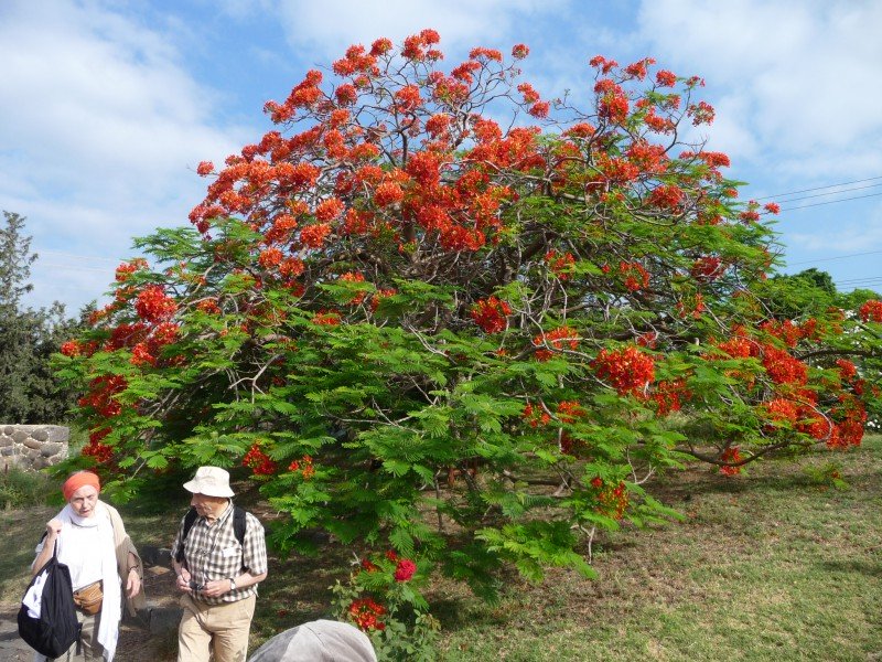 Terre_Sainte-2013 331