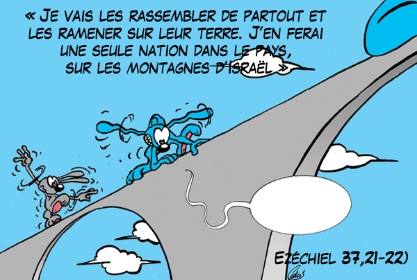 -careme2017-lapinbleu-39samedi5b