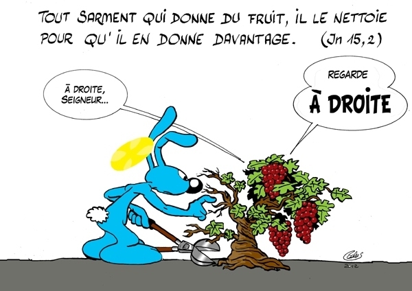 Année B - 5ème Dimanche de Pâques (2)