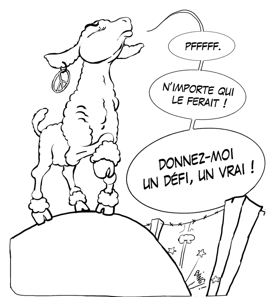 Coolus et Birus et leur prochaine BD. Ca en est où ?