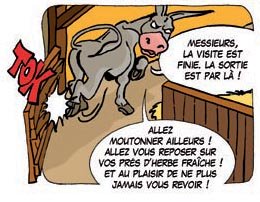 page41-image6-Lapinbleu-Nuit blanche a Bethleem